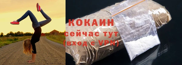мет Елизово